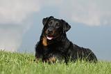 BEAUCERON 609